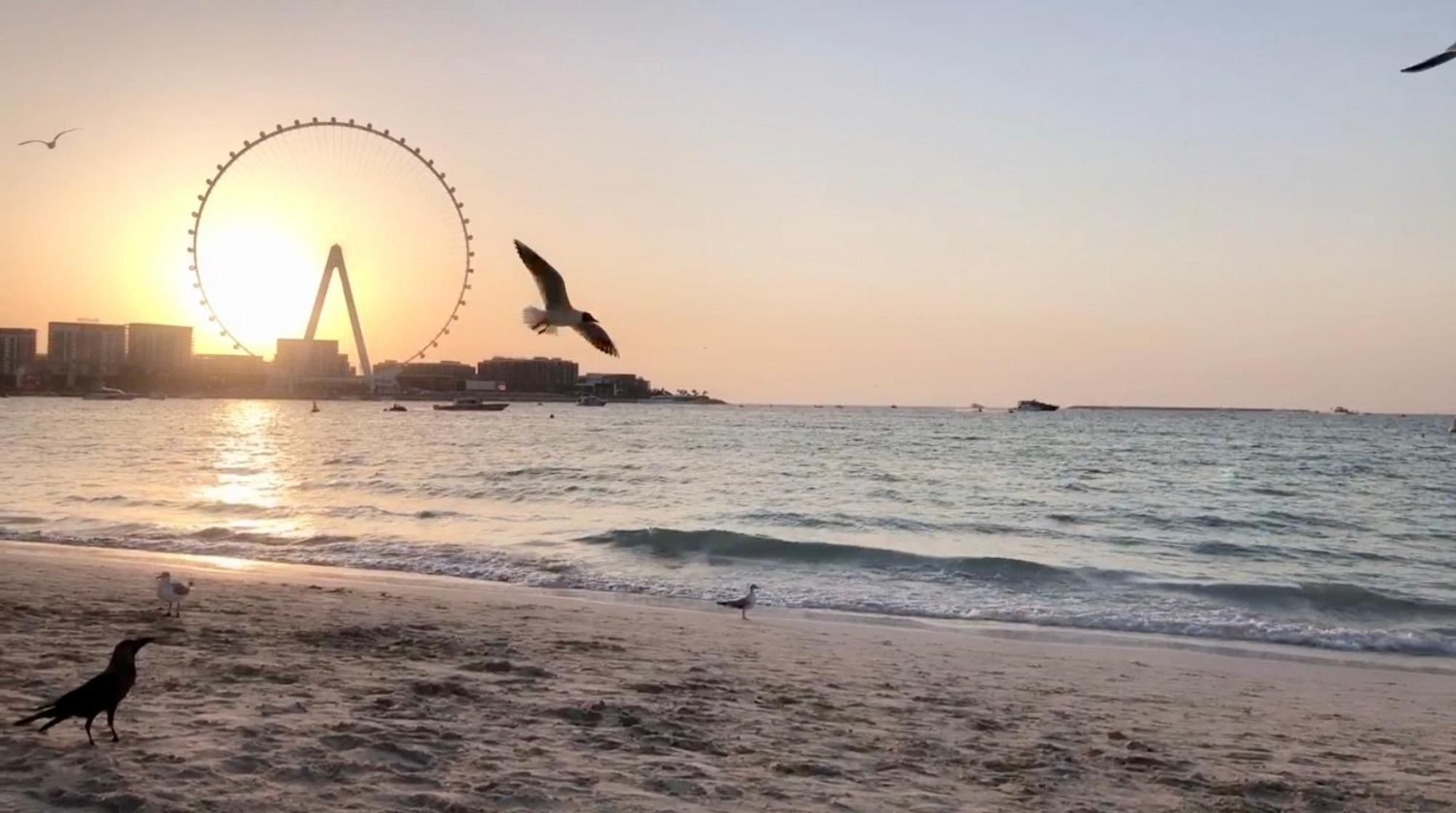 Jbr Beachfront Luxe Apartment All Rooms Sea Facing Dubai Esterno foto